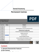 DA Lec 6