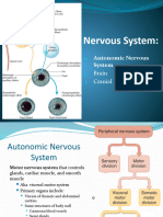 BrainCranial Nerves - Autonomic Nervous System 1050FA2022