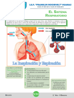 El Sistema Repiratorio Biologia 1º Secundaria