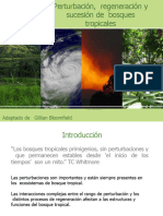 Perturbacion en Bosques Tropicales Clase3-4