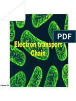 Electron Transport Chain