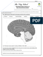 2.1.1 Worksheet