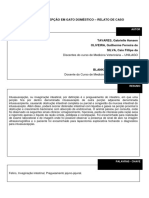 Intussuscepção em Gato Doméstico - Relato de Caso