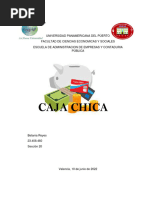 Informe de Caja Chica