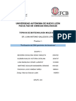 Practica 1. Purificacion de DNA