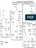 Organigramme Du Test TP