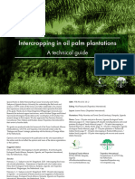 Intercropping in Oil Palm Plantations A Technical Guide