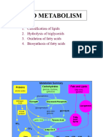 Lipid Metabolism