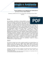 Comunidade de Insetos Bentônicos em Rio Impactado Por Mineração de Carvão em Treviso, Santa Catarina