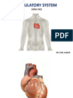 Circulatory Syst Ana 241