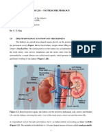 PHS 251 Notes - Systems Physiology - Updated January 2022-1