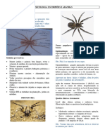 Aranhas e Escorpiões - Toxicologia