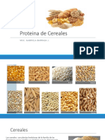 Proteinas de Cereales y Leguminosas