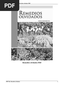 Remedios Olvidados