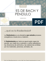 Flores de Bach y Pendulo.