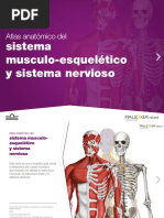 M-PLX-ES-06-20-0010 Atlas Sistema Musculoesquelético