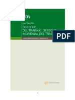 El Derecho Individual Del Trabajo - Irene Rojas Miño