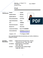 Curriculum-Vitae Lupytha 3 - Actualizado