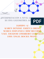 Practica 9 - Interpretación de Una Gasometría Arterial