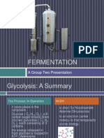 Fermentation