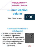 Comunicacion Celular Amanzo