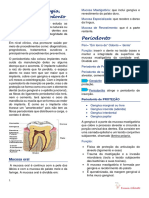 Anatomia, Histologia e Fisiologia Do Periodonto