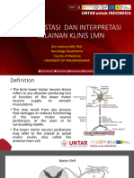 Manifestasi Dan Interpretasi LMN