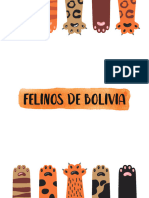 Diego Maldonado-Mariana Da Silva-Cacilia Flores-Carina Osio2021-Felinos de Bolivia