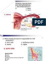 OB Power Point Presntation 001