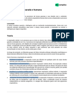 Respirações Comparada e Humana