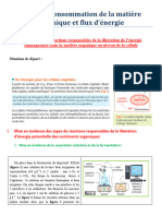 Consommation de La Matière Organique Et Flux D'énergie - Cour1