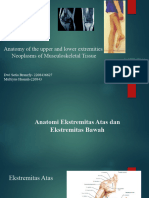 Anatomy of The Upper and Lower Extremities Neoplasms of Musculos