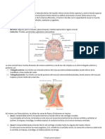 Trauma Cervical.