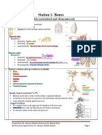 Lab 1 - Anatomy of Thoracic Walls, Lower Respiratory Tract