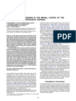 Marchioro Et Al. - 2005 - Postnatal Neurogenesis in The Medial Cortex of The Tropical Lizard Tropidurus Hispidus