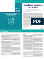 Documento Completo - PDF PDFA