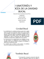 3.0 Anatomía y Fisiología de La Cavidad Bucal