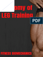 Anatomy of LEG Training