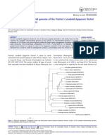 The Complete Mitochondrial Genome of The Fischers