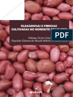 Oleaginosas e Fibrosas Cultivadas No Nordeste - Ebook