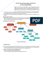 CH 6 Tissues Animal Tissues