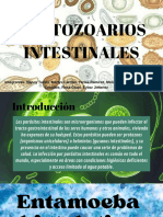 ParÃ¡sitos Intestinales