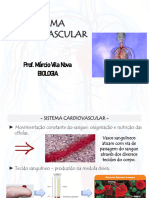 Sistema Cardiovascular