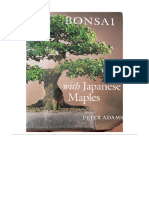 Bonsai Com Maples Japonesas Peter Adans Traduzido