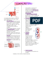 1 Fisiologia Básica Do Coração