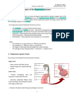 Medical Physics - Respiratory 