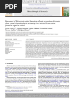 Biocontrol of Rhizoctonia Solani Damping-Off and Promotion