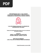 Las Leyes Penales en Blanco y El Principio de Legalidad en El Salvador