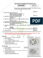 Practical Question & Key 2021