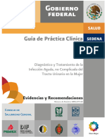 Guía de Práctica Clínica: Evidencias y Recomendaciones